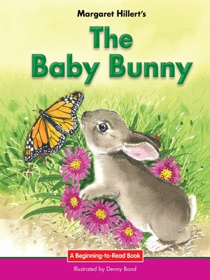 cover image of Baby Bunny, The
